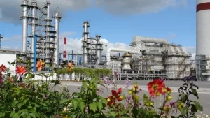 Подробнее о статье Нефтяные фьючерсы стабилизировались, инвесторы оценивают решение ОПЕК+